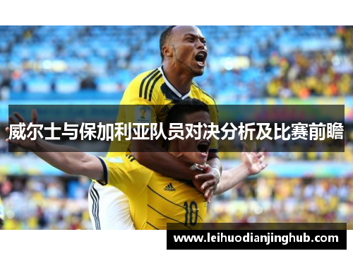 威尔士与保加利亚队员对决分析及比赛前瞻
